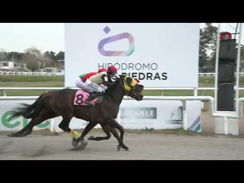 220708 c09 - PLURALISMO - HIPODROMO LAS PIEDRAS  - PREFERENCIAL "PETULANTE"