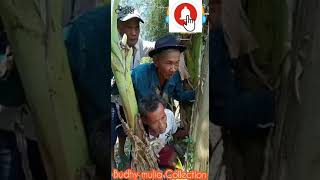 Download lagu viral&lucu...dilihat dosa...tdk dilhat barang bagus.. mp3 Download lagu viral&lucu...dilihat dosa...tdk dilhat barang bagus.. mp3