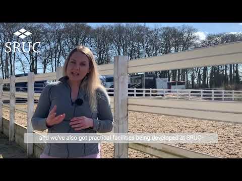 SRUC Aberdeen NEW Equine Studies Course