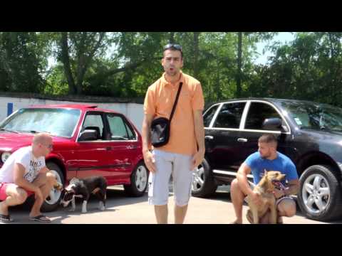 Assoce Balkanic Feat Desant & Lemi G - Zivim kao gazda