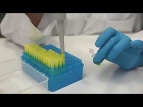 Edvotek Kit #235   DNA Microarrays