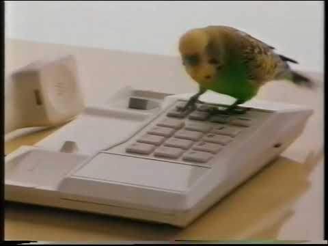 SBC 12 - January, 7 1991 - DHL Commercial