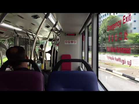 SG5769X on East West Line Bridging Shuttle (EW27 to EW28) — MAN ND323F A95 (ZF EcoLife)