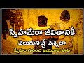 స్నేహమేరా జీవితానికి వెలుగునిచ్చే వ�