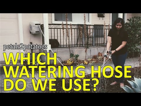 Which watering hose do we use? | Hoselink Review | Petals2Potatoes