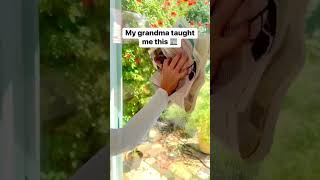 Use newspaper to clean windows