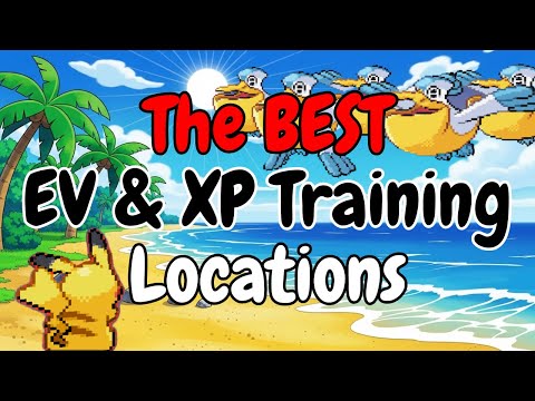 I luoghi di allenamento EV più EFFICIENTI di PokeMMO e la guida definitiva all'accumulo di PE