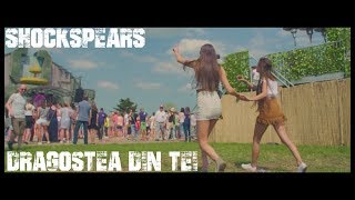 O-Zone - Dragostea Din Tei (Shockspears Hardstyle Bootleg) | HQ Videoclip