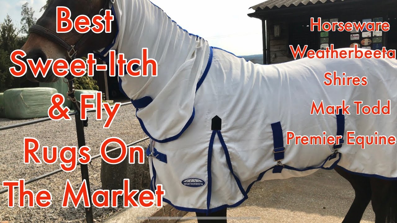 Watch video HORSE SWEET ITCH & FLY RUG REVIEWS | Equestrian Rugs | Equestrian Reviews Now HORSE SWEET ITCH & FLY RUG REVIEWS | Equestrian Rugs | Equestrian Reviews