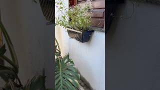 MAIS UM CANTINHO FOFO!