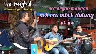 Download lagu Pengamen Jalanan jadi pingin pargoy cuk mp3