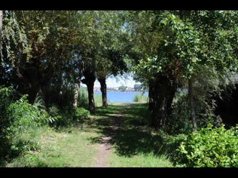 Peter Fox - Haus am See