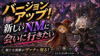 【FFXI】バージョンアップ！新しいNMに会いに行きたい！