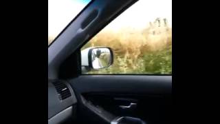 non e' un paese per giovani