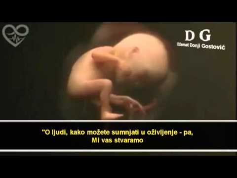 Stvaranje čovjeka i njegova nafaka