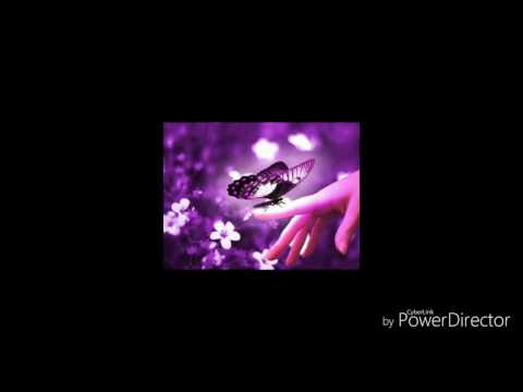 Bread of Life - MSC feat Patti Potts Doi