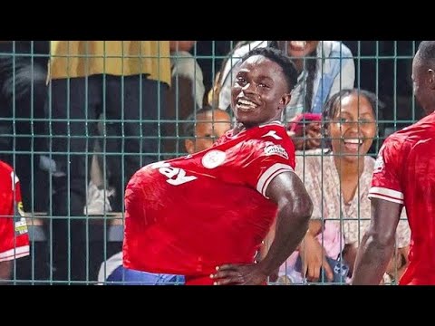 bg-highlight