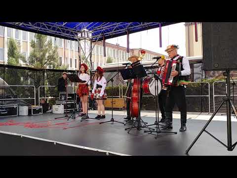 Parczew 2019 Jarmark Jagielloński - Kapela Siennica cz. 5