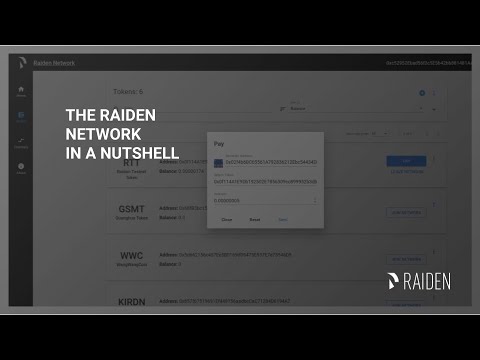 Raiden Network in a Nutshell