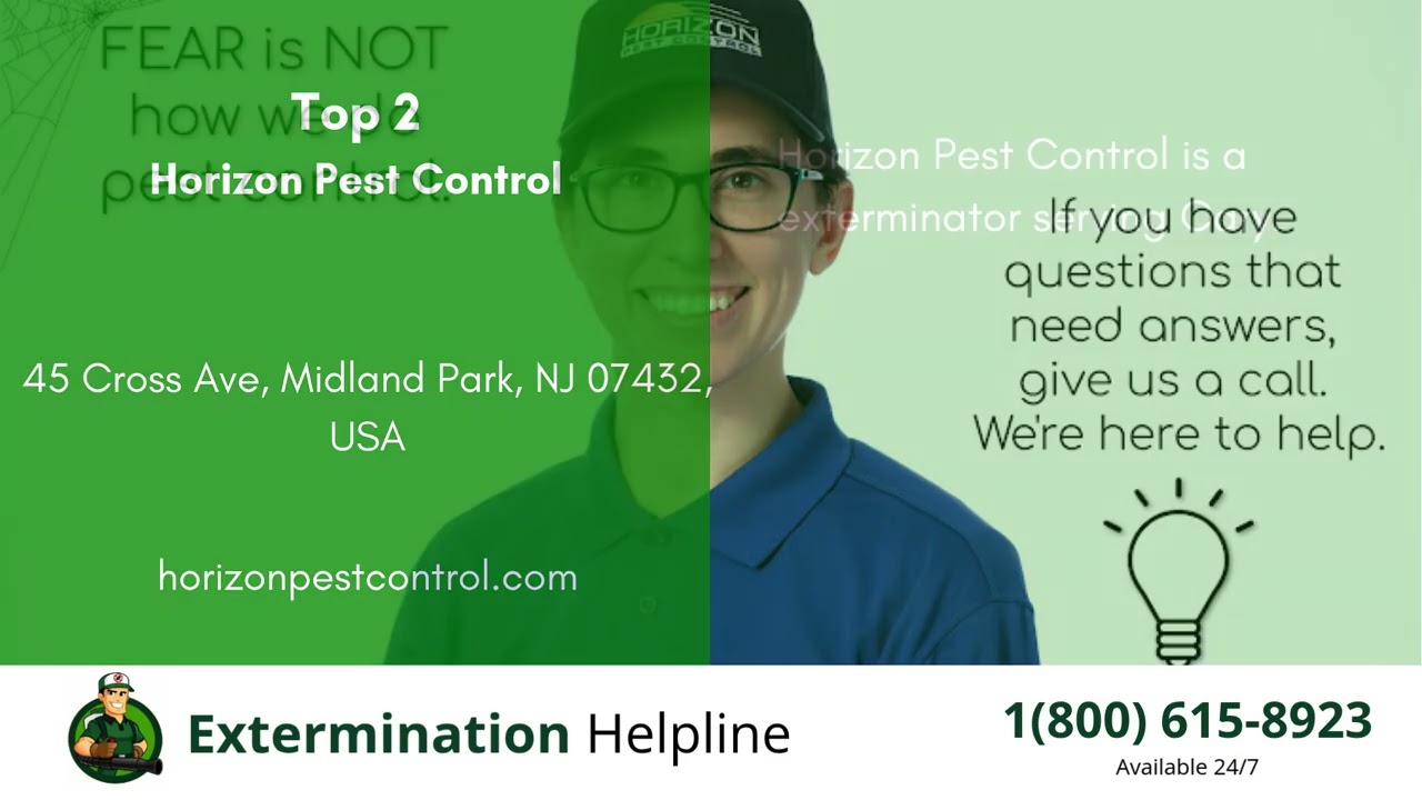 Top 3 Exterminators in Cary