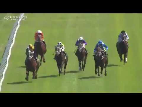 Winx rouba cena com impressionante vitória em prova treino em Randwick