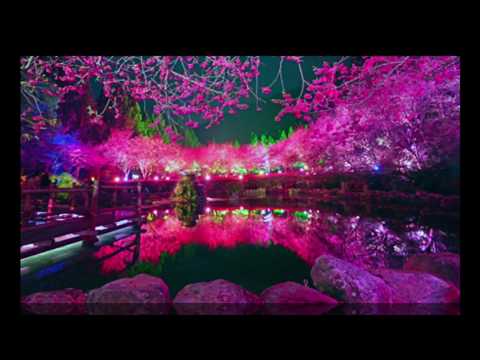 Melodious Beautiful Gazal - Geet Phool