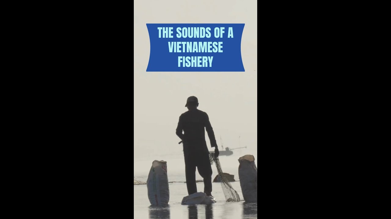 The sounds of a Vietnamese clam fishery...