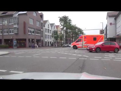 Vaihingen Kaltental Stuttgart BRD Deutschland 23.10.2015