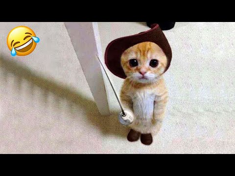 5 Hour of The Best Cat & Dog Videos 😂 Funny Videos Compilation PART 5