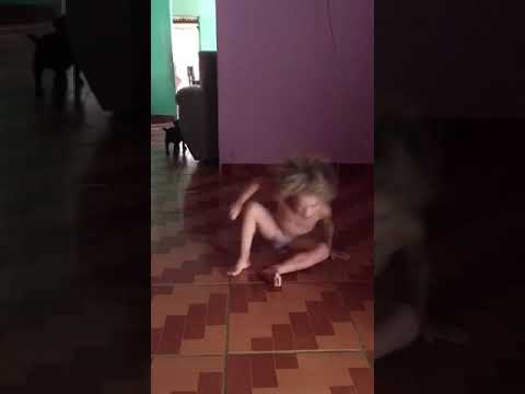 Menina de 3 anos dançando funk 