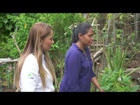 Camino al Suroeste - 28 de agosto de 2024