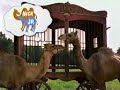 Nickelodeon 1998 Bumper Nick Jr Camels
