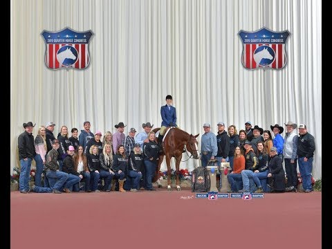 BOUT TIME BABY & AMBER HANSON PICKARD - 2019 ALL AMERICAN QUARTER HORSE CONGRESS