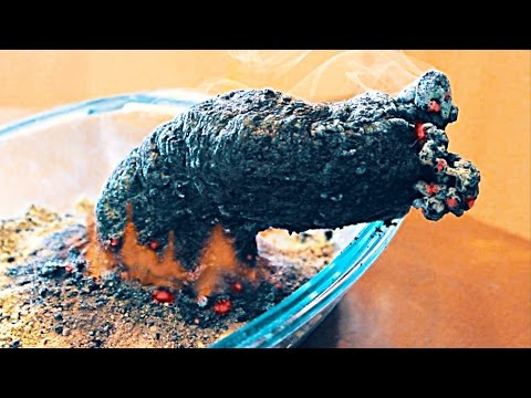 5 gefährlichste Experimente bitte nicht nachmachen