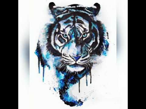 The Tigers - Goodbye Kumiko