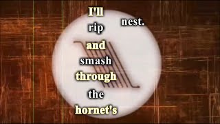 Thrice - Black Honey🐝 [Lyric Video]