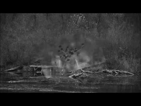 Zeljko Reljic Photography 2018 - Lobau bw