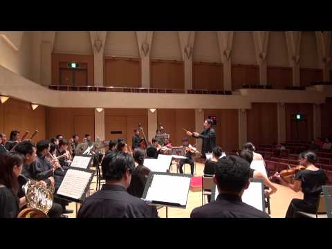 Carl Nielsen Symphonie Nr.1 g-moll