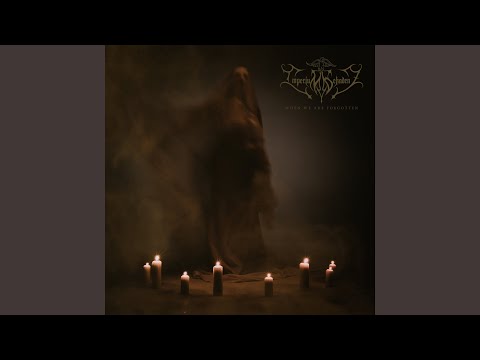 Owl of the Black Forest