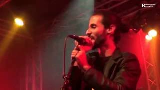 Anima Mundi - Flowers video