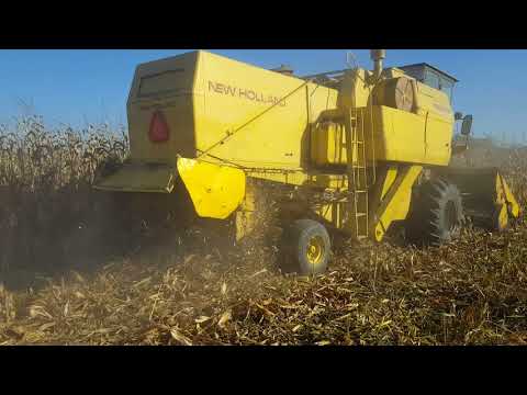 New Holland 1550 recoltar porumb