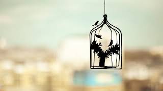 Dafer Youssef - Interl´Oud
