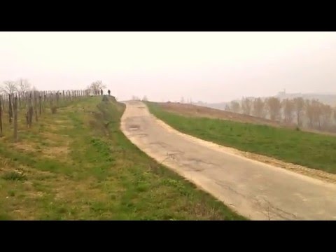 Rally del tartufo 2016- crash Portacomaro con ribaltamento