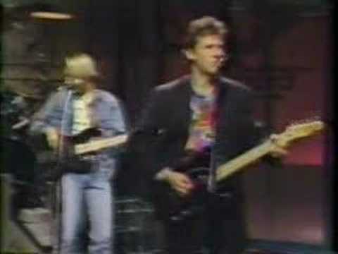Robyn Hitchcock "Madonna of the Wasps (live david letterman)