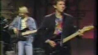 Robyn Hitchcock "Madonna of the Wasps (live david letterman)