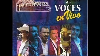 CONJUNTO PRIMAVERA NO LE RUEGUES