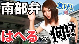 青森県の南部弁講座やってみた【はへる編】