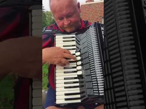 Akkordeon Hohner Amica 3 72 Bässe Neu 1 Jahr Garantie Video-Clip