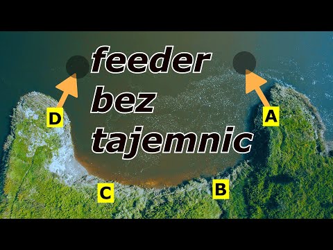 Rzeczny feeder bez tajemnic z ostrogi. Czytanie rzeki cz 2