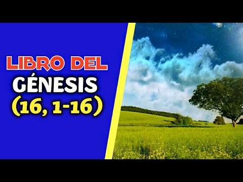 Father José Gregorio Medina/Spoken Holy Bible|Book of Genesis 16, 1-16